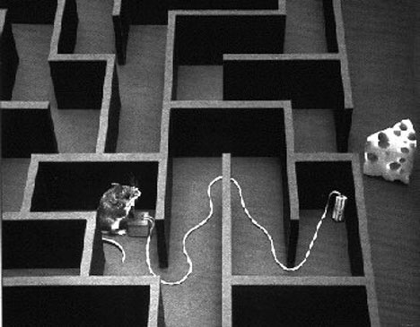 Funny picture of the day